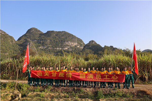 邊關(guān)甘蔗情，“甜”滿員工心—崇左紅獅助海外員工家屬收甘蔗